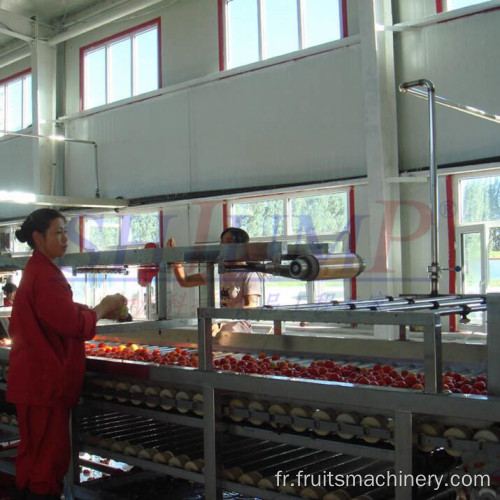 Machine à laver à bulles pour la machine de nettoyage des fruits de légumes